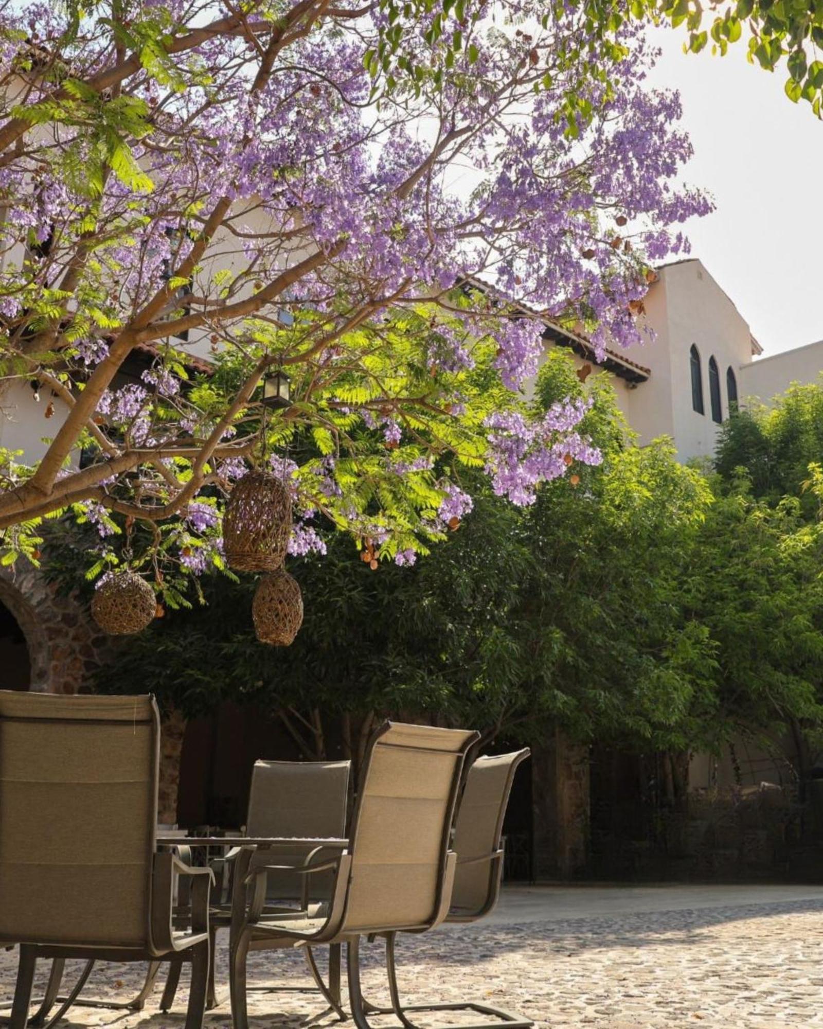 Suites Campestres Montebello Bernal Exteriör bild